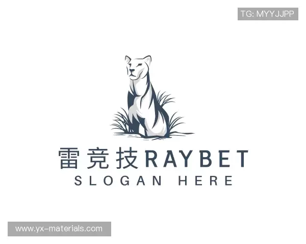 关于雷竞技raybet