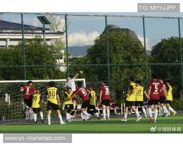 恩施足球明星盘点及其在国内外赛场的精彩表现与成就分析