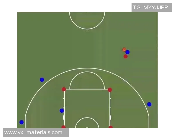 南京排球队的盯防战术解析与比赛表现分析