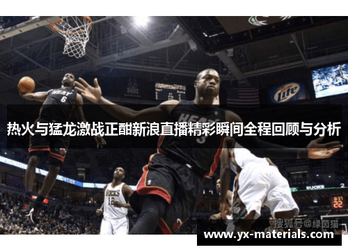 热火与猛龙激战正酣新浪直播精彩瞬间全程回顾与分析